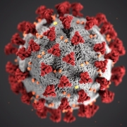 virus3