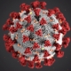 virus3
