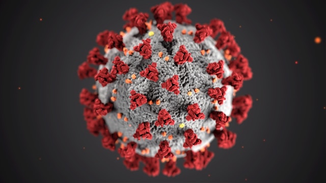 virus3