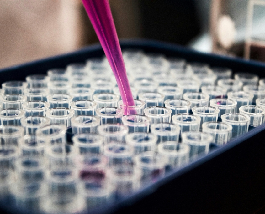 analisi di laboratorio